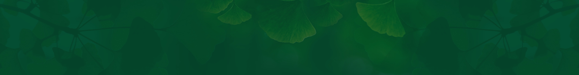 技術(shù)研發(fā)